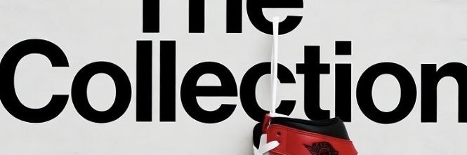 thecollection banner