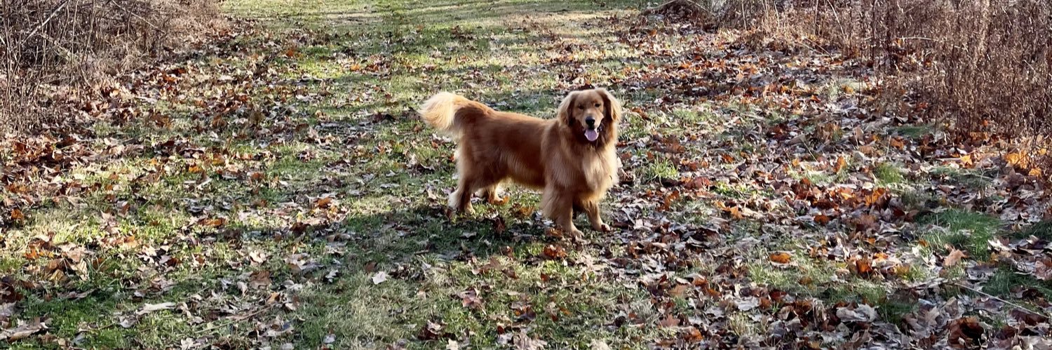airlarry4's profile banner image