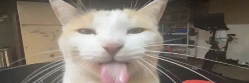 theprettymofo's profile banner image