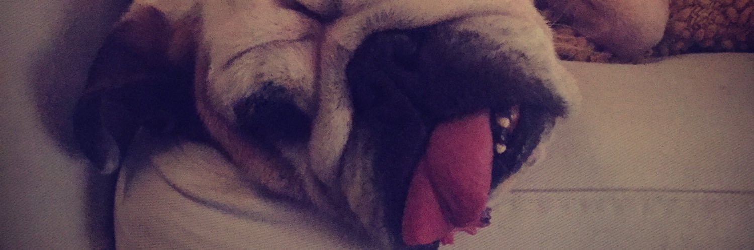 Jamie Johnston banner