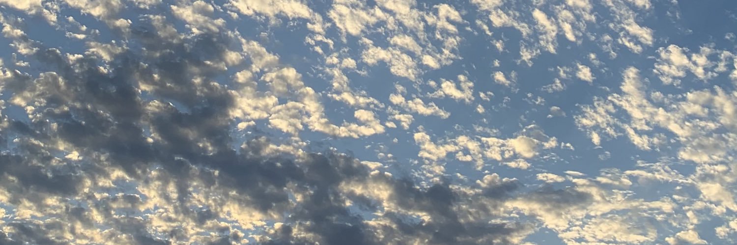 stefanians06's profile banner image