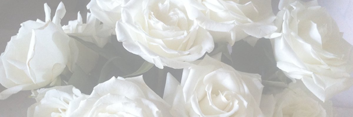Teezitwt's profile banner image
