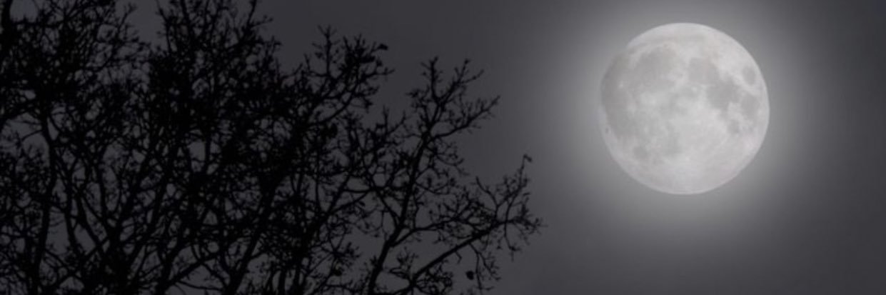 TAN_ALN's profile banner image