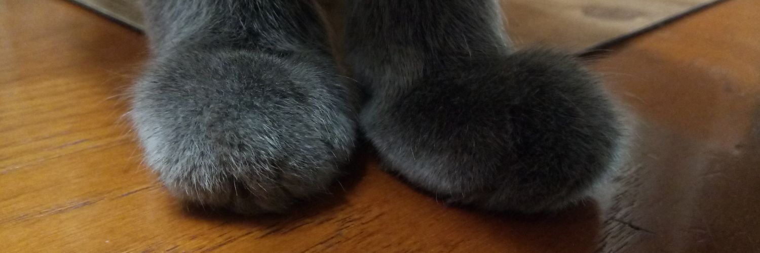 Ren22's profile banner image