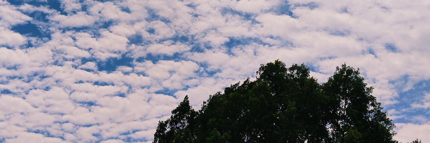 amy²⁶ ⚖️⚖️ banner