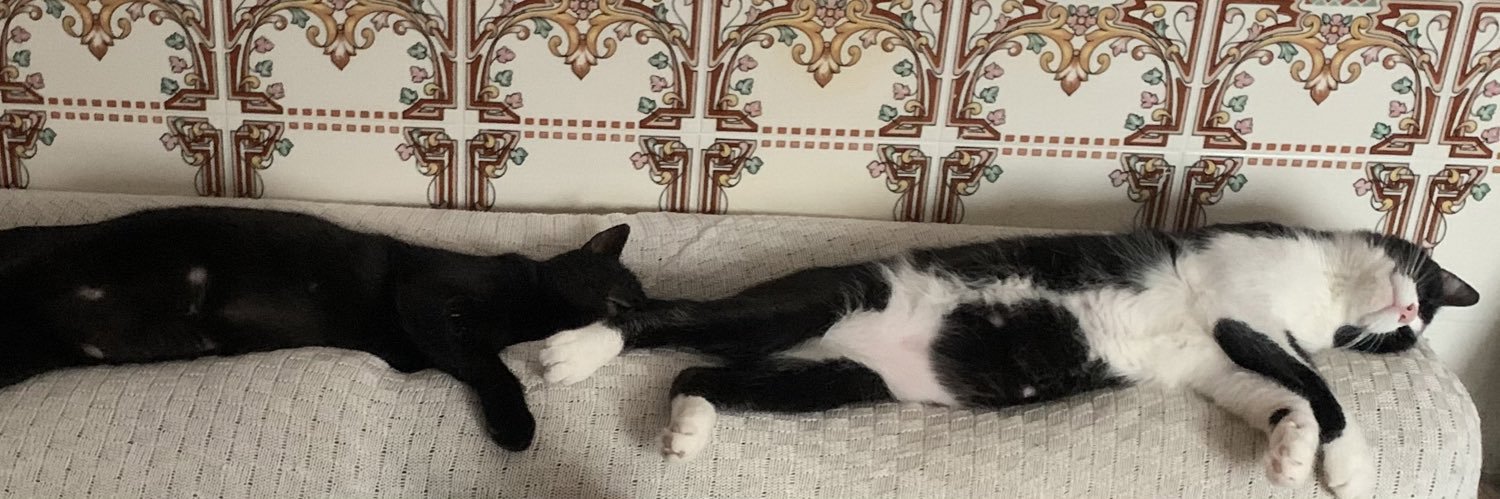 Alejandro Tormo banner