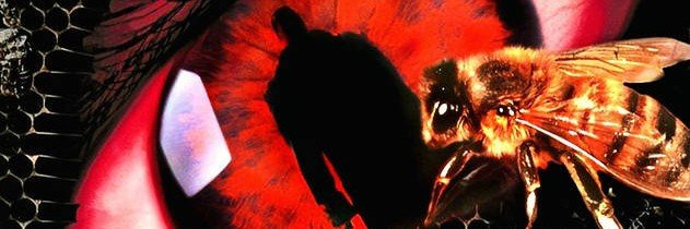 Candyman banner