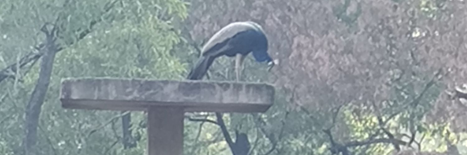 makulkari30's profile banner image