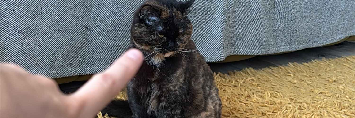 vladl aber geheim banner