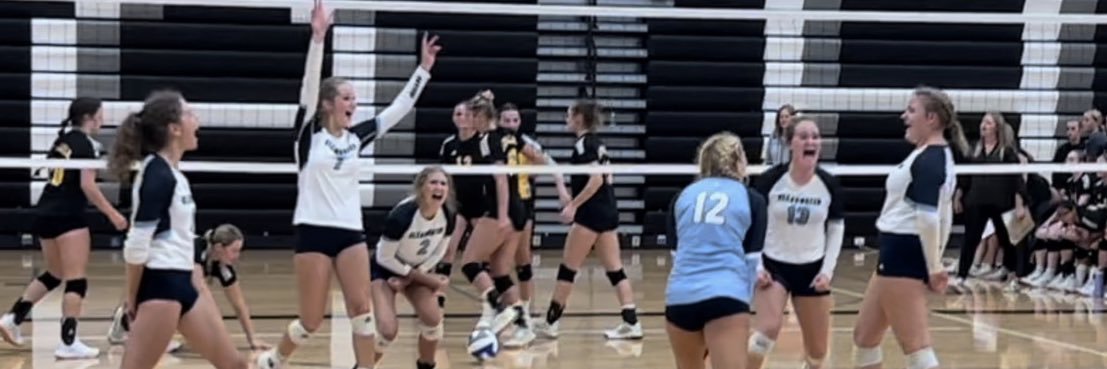 Clearwater VBALL banner