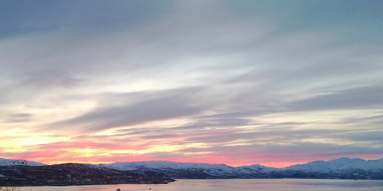 Mariell Kvammen banner