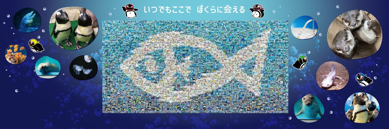 新さっぽろサンピアザ水族館【公式】's banner