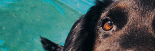 jocardozo__'s profile banner image
