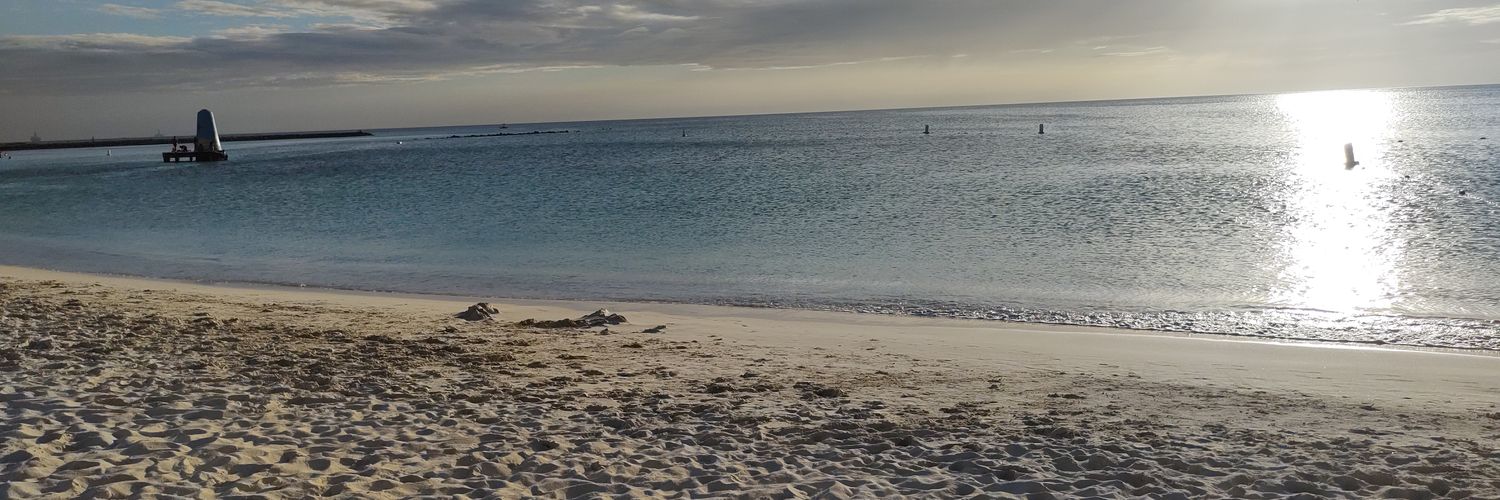 sofiriartem's profile banner image
