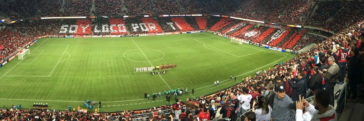 guedescaroline's profile banner image