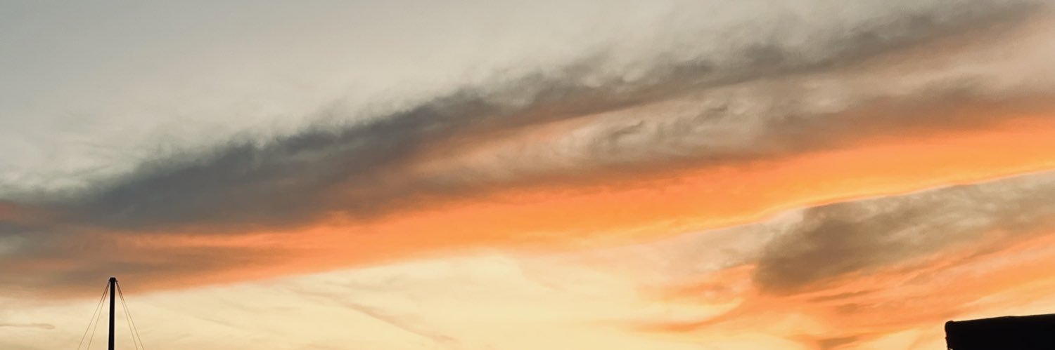 BrazilianMaple's profile banner image