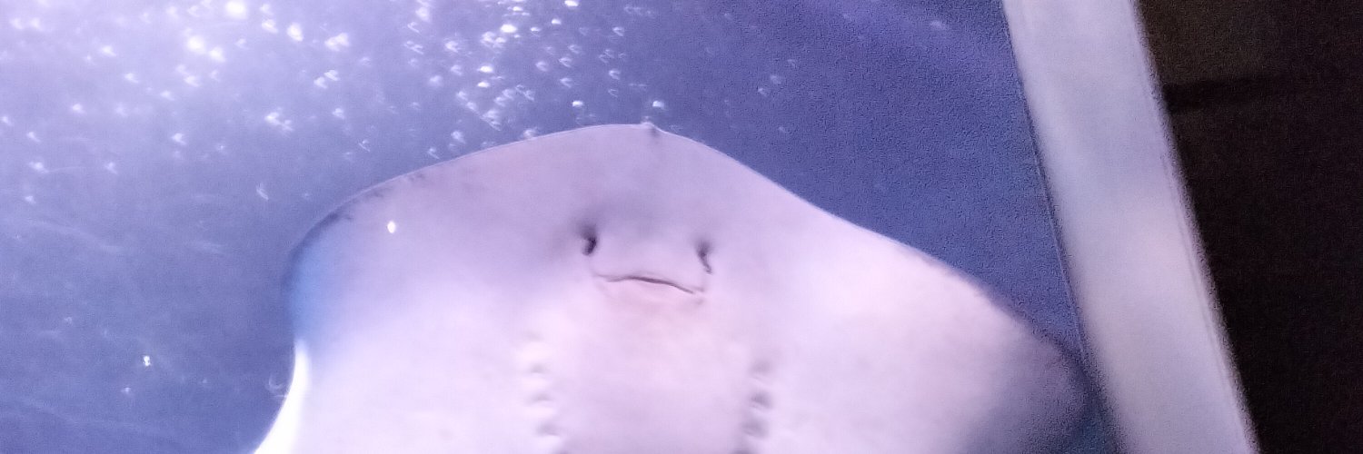 ﾂﾏｻｷ banner