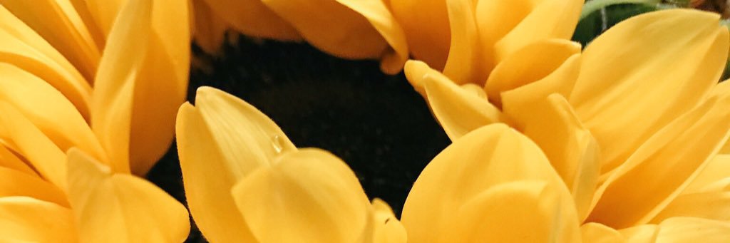 eblairapo's profile banner image
