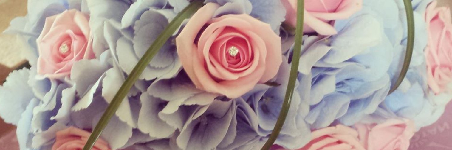 MissLauraCarr's profile banner image