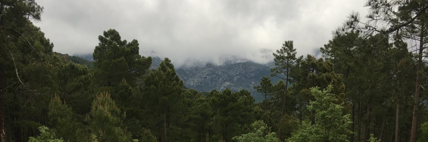 Ollero19's profile banner image