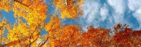 Explorasaurus's profile banner image