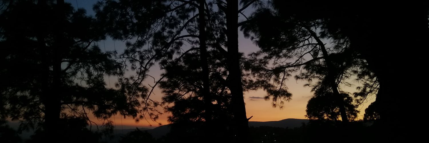 navesinpuerto's profile banner image