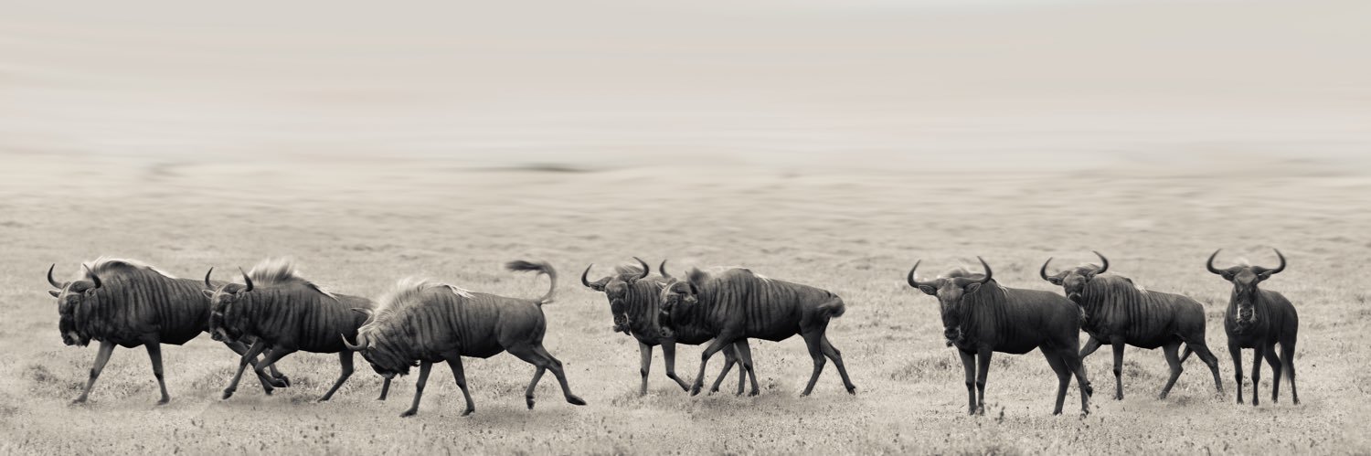 JanduToitPhoto's profile banner image