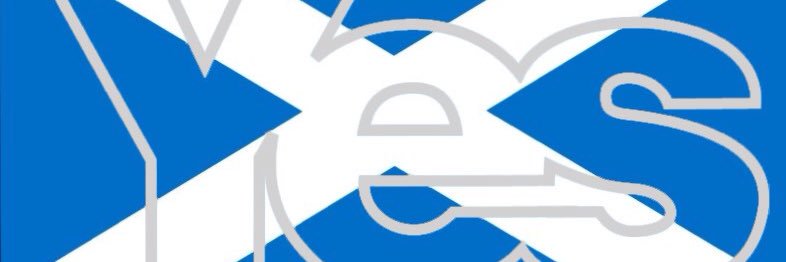 wee eck banner