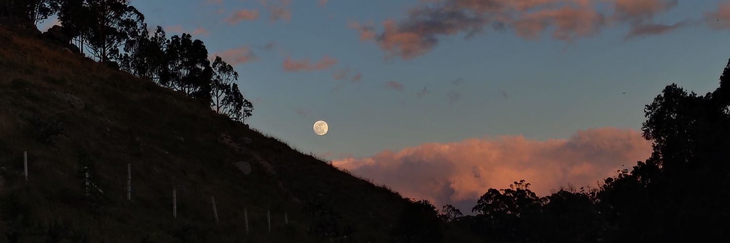 YuNxReb's profile banner image