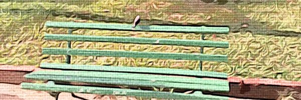 fabianotenuta Profile Banner