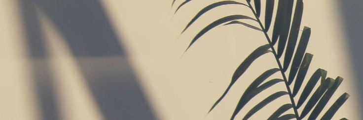 LuisPastrans's profile banner image