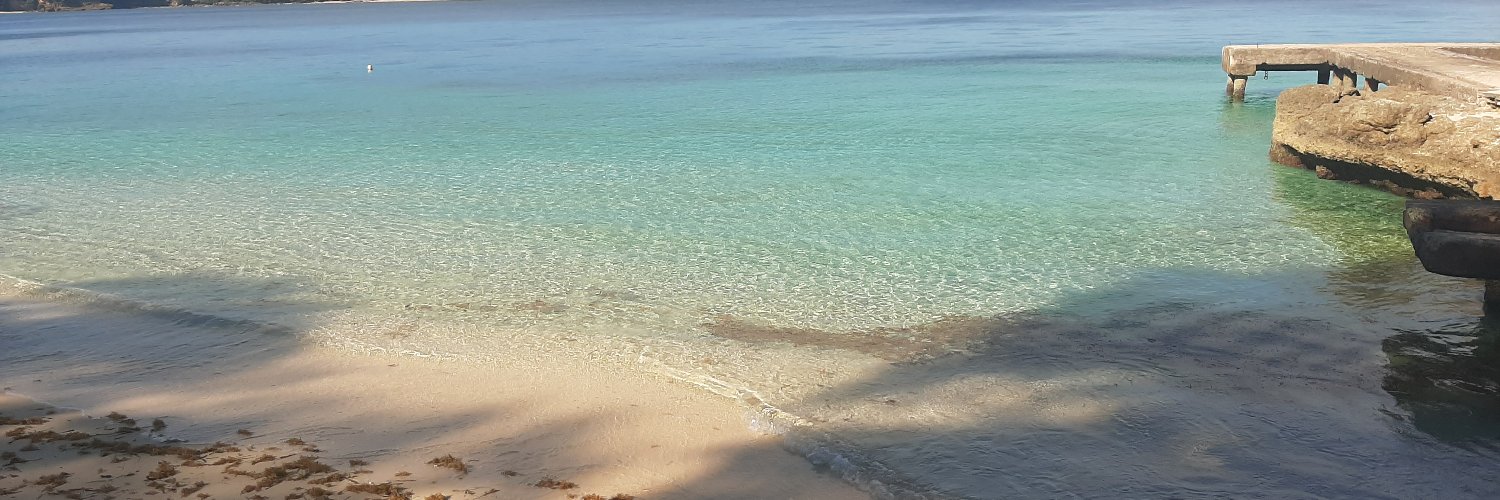 CuzaKatia's profile banner image
