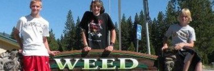 DiamondtrustA's profile banner image