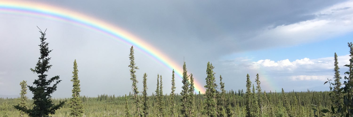 pitysextme's profile banner image