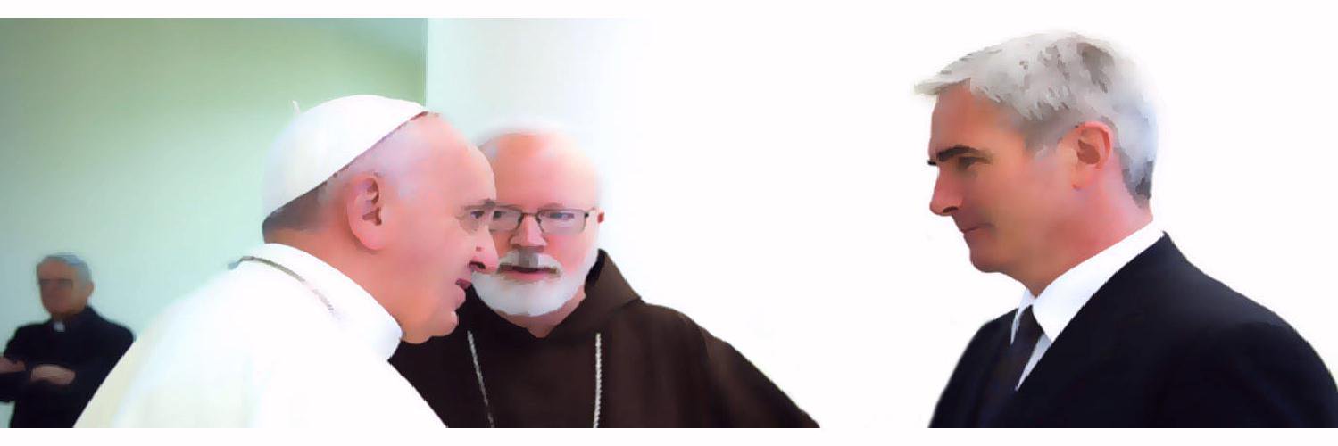 Mark Vincent Healy banner