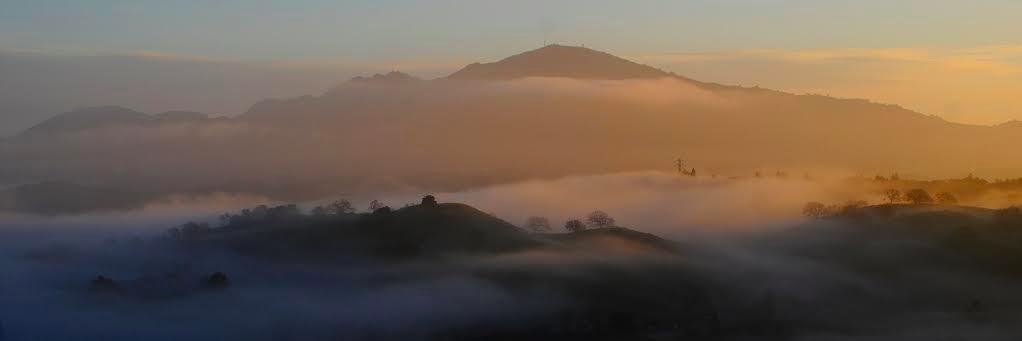 WalnutCreekPatch banner