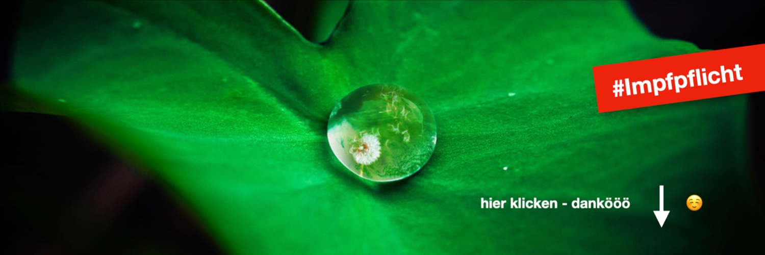 Der Zeitgenosse - @DerZeitgenosse@det.social banner