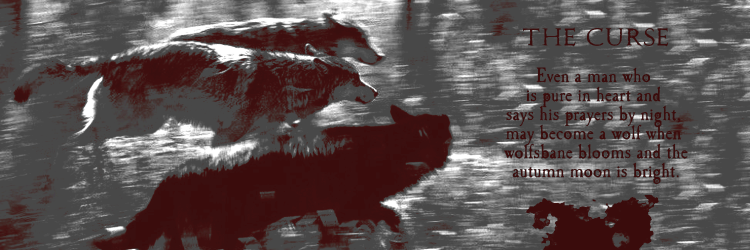 𝗖𝗔𝗘𝗟. banner