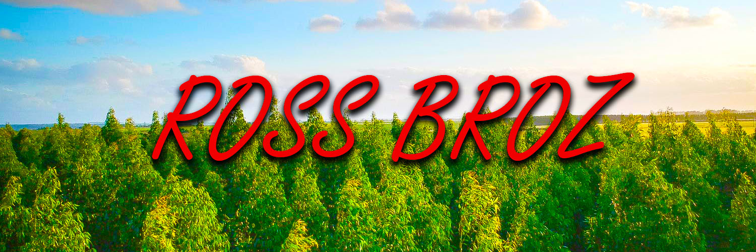RossBrosz's profile banner image