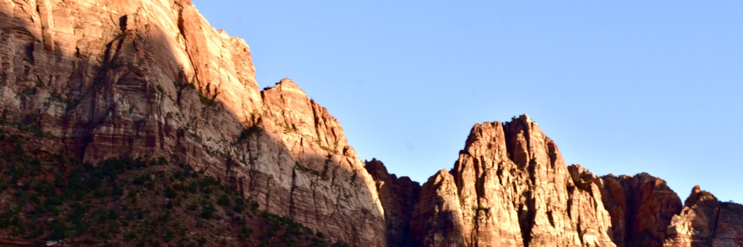 JessieAnne D’Amico banner