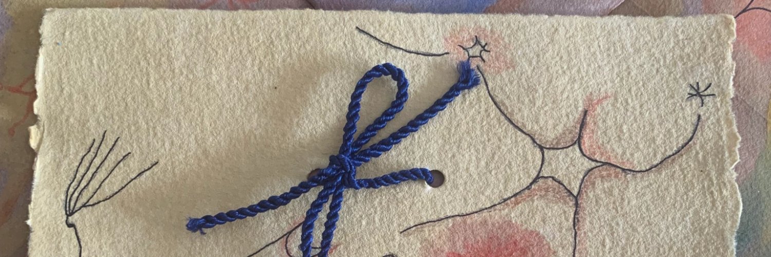 Mireia Casanyes Dalmau banner