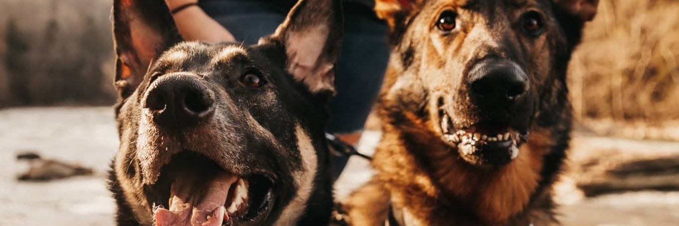 kbrad246's profile banner image