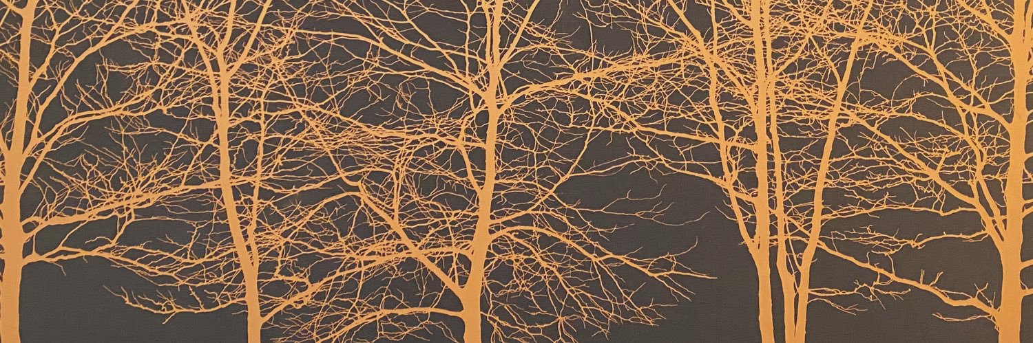 Levi Van Sant banner