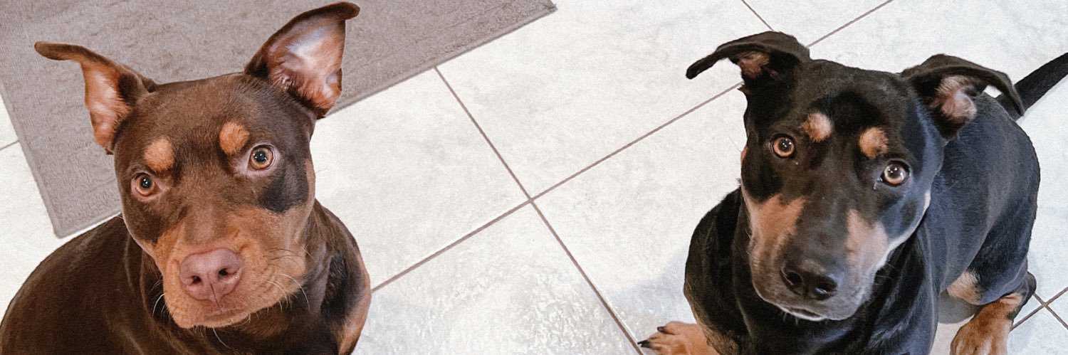 theposhblondee's profile banner image