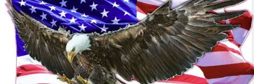 MAGA Now banner