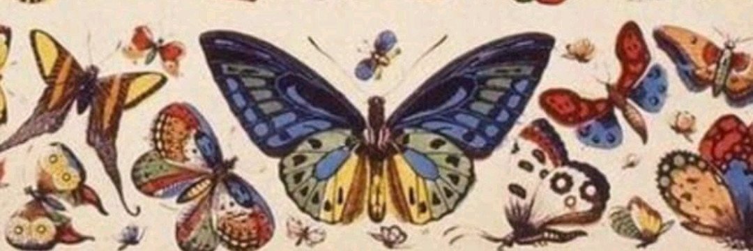 AnaBertone5's profile banner image