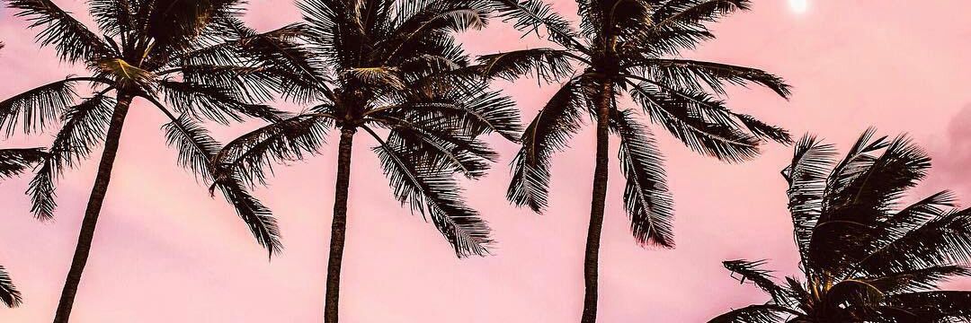smoothwiddit's profile banner image