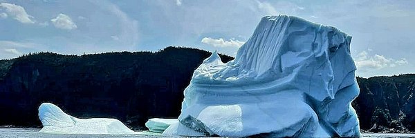 DwightBallNL Profile Banner