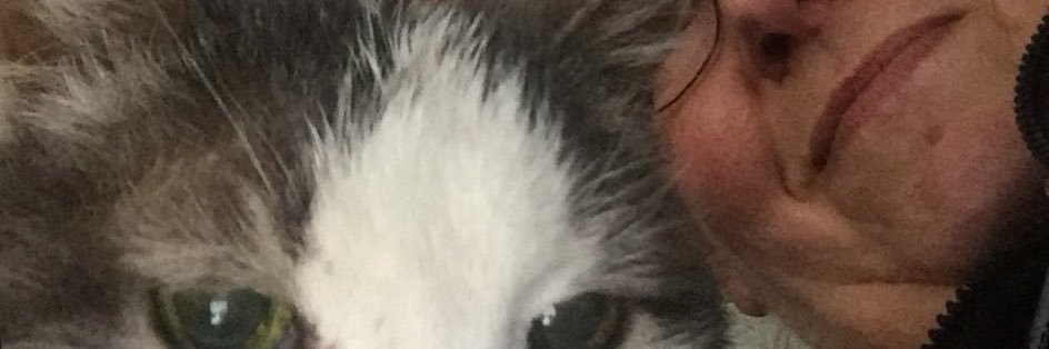 Jeri Shepherd banner