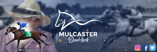 MulcasterBS Profile Banner